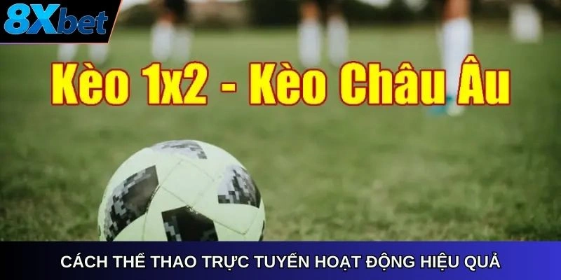 Anh em đã biết kèo châu âu là gì chưa?