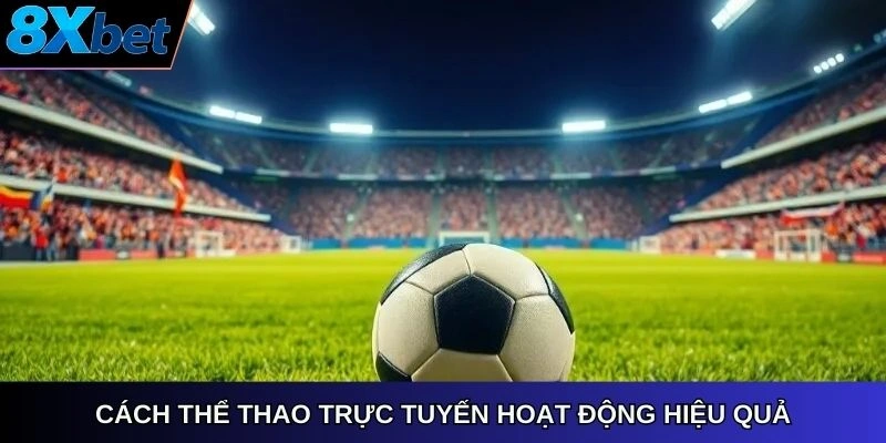 Cách thể thao trực tuyến hoạt động hiệu quả