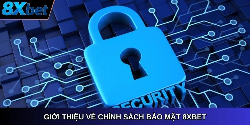 Giới thiệu về chính sách bảo mật 8Xbet