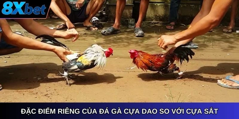 Đặc điểm riêng của đá gà cựa dao so với cựa sắt