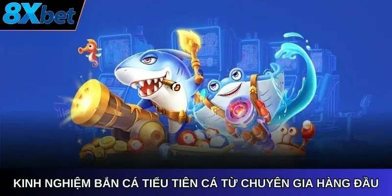Kinh nghiệm Bắn cá tiểu tiên cá 8xbet online từ chuyên gia hàng đầu