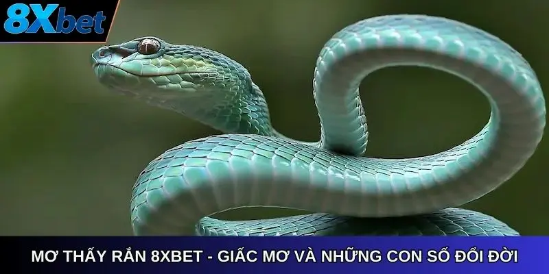 Mơ thấy rắn 8xbet con số may mắn đổi đời