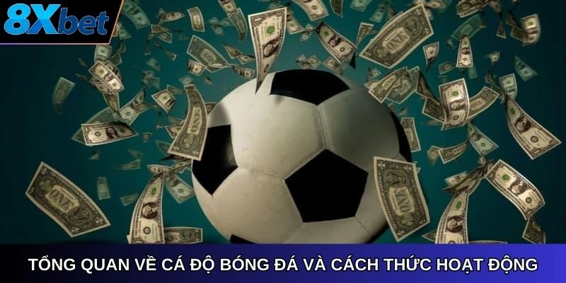 Tổng quan về cá độ bóng đá và cách thức hoạt động
